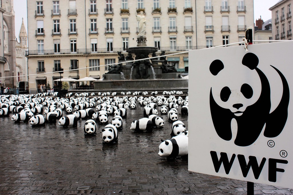 WWF's Efforts Amidst Zambia's Climate Crisis