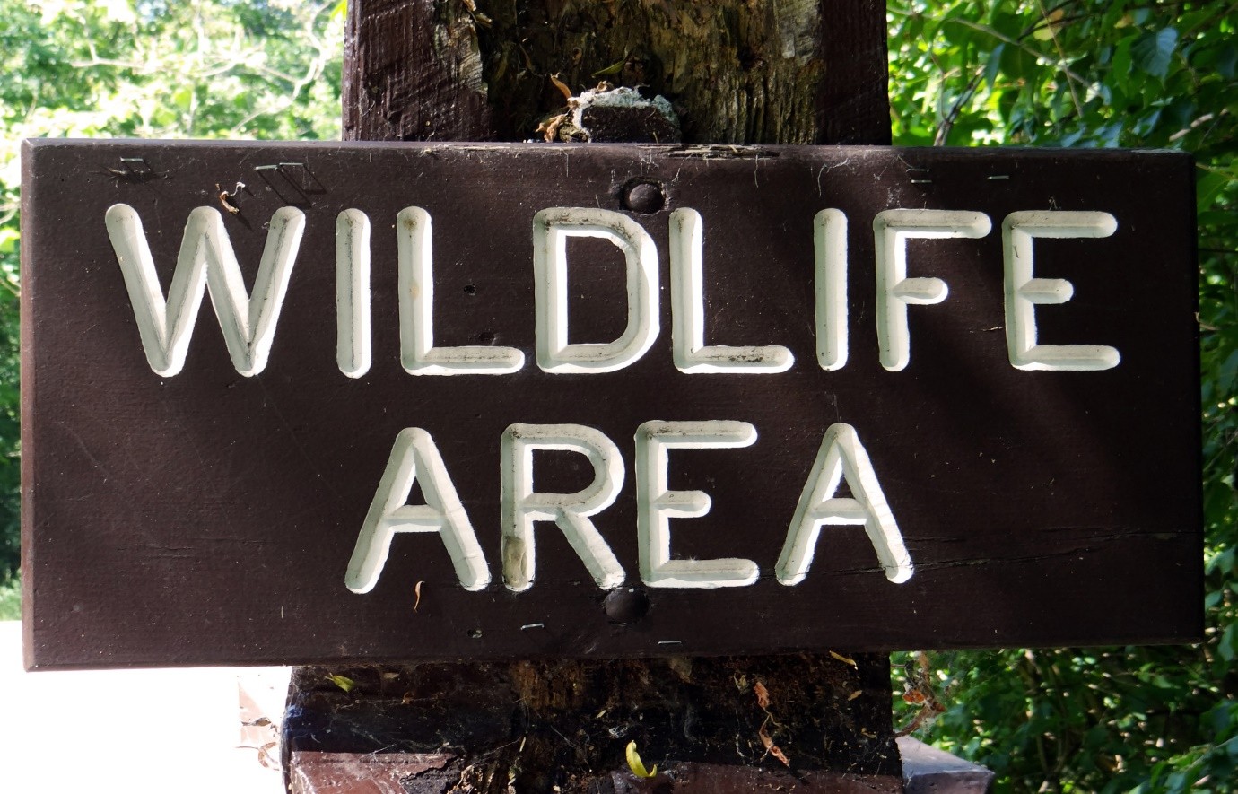WWF's Efforts Amidst Zambia's Climate Crisis