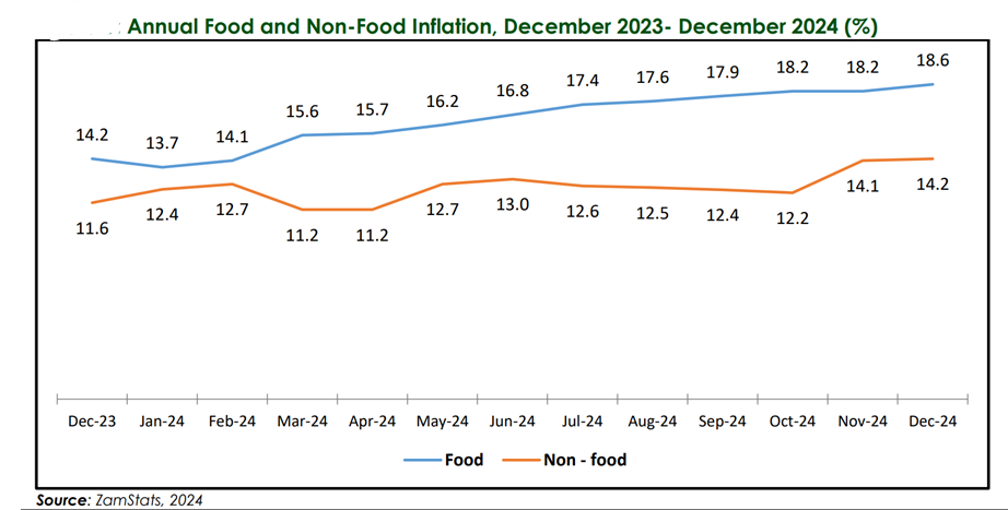 Zambia's Economy Plays a Bittersweet Melody of 2.5% Q3 Growth Amid Inflation Disruptions