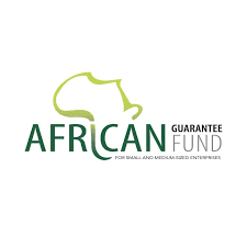 African Guarantee Fund (AGF) West Africa Executive Appointment